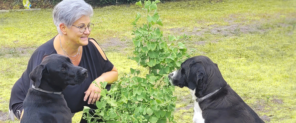 Banner Lächelnde Frau mit 2 Hunden vor einem Ginkgo Baum